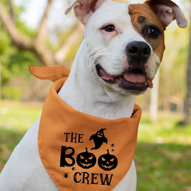 The Boo Crew Halloween Family Matching Shirt 