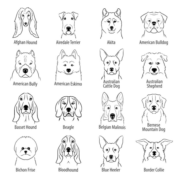 Personalized Baby Embroidery Rompers Sets (Pets)