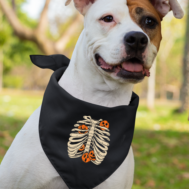 Pumpkin Bone Halloween Matching Shirts