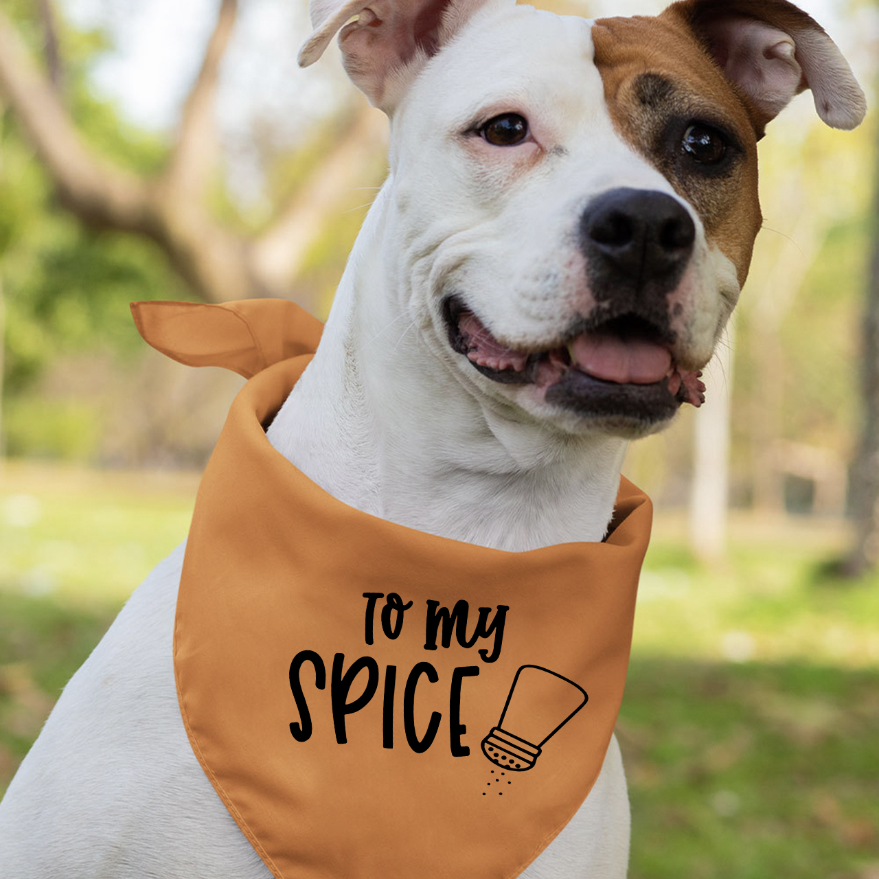 Halloween You Are The Pumpkin To My Spice Mom&Me Matching Shirt