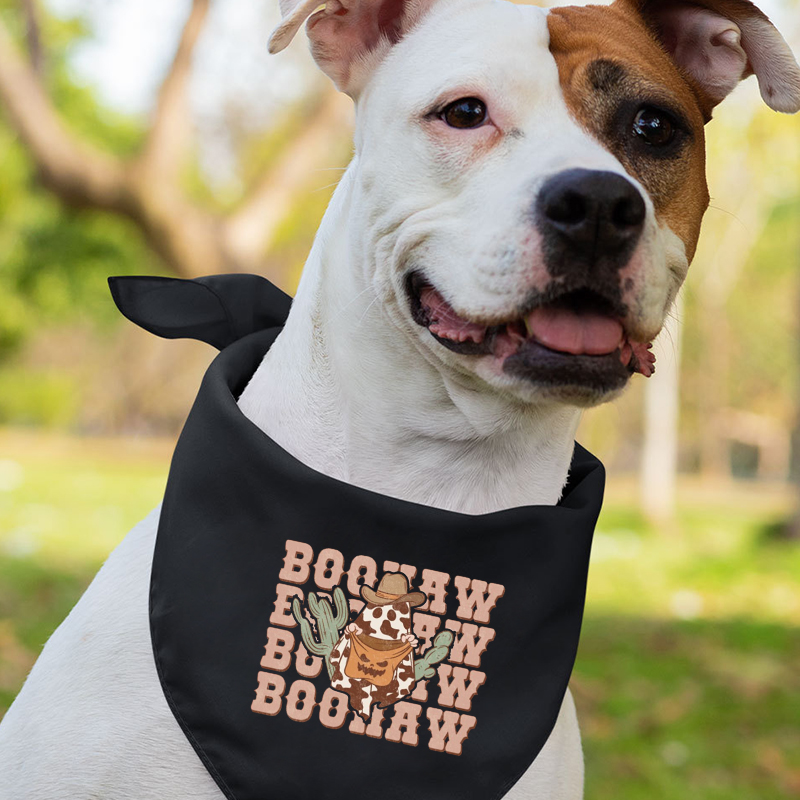 Spooky Halloween Family  Matching Shirts