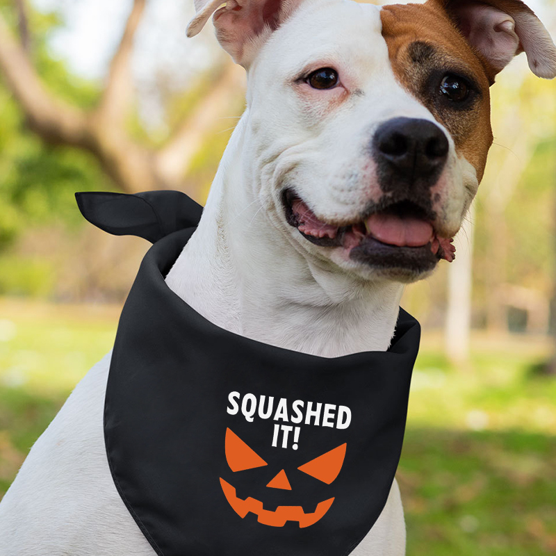 Halloween Personalized Family Pumpkin Face Matching Shirts