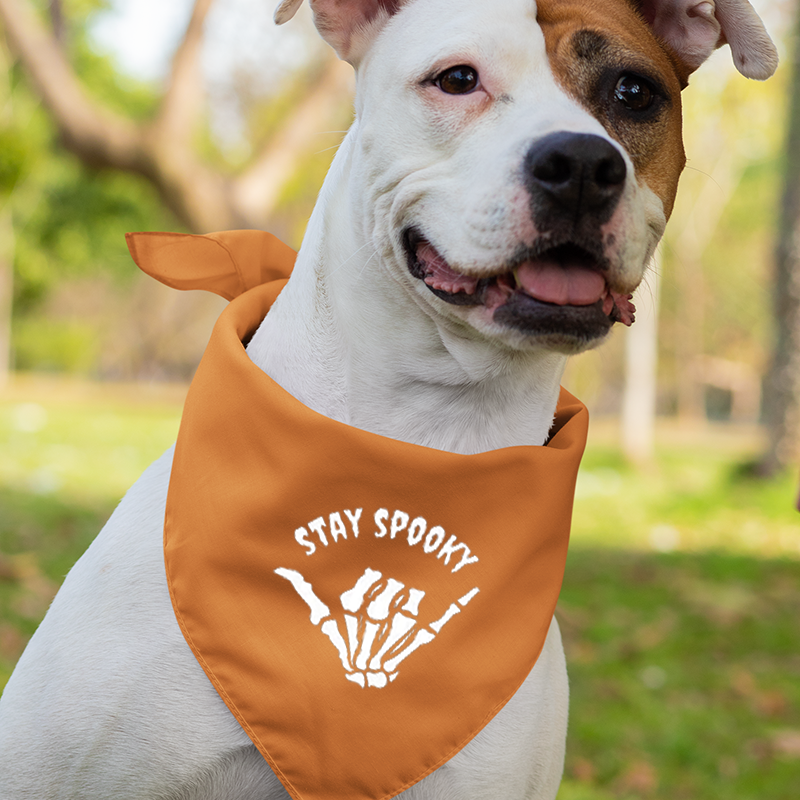 Stay Spooky Halloween Family Shirts