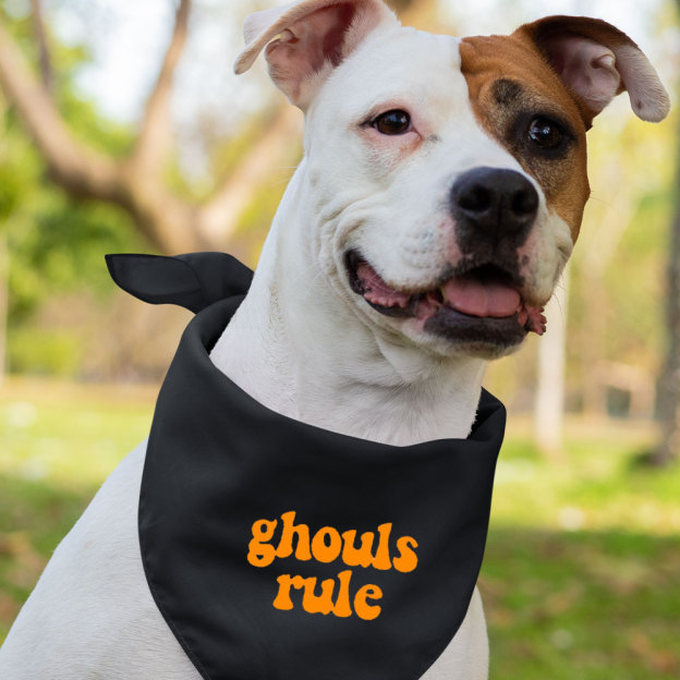 Ghouls Rule Matching Shirt 