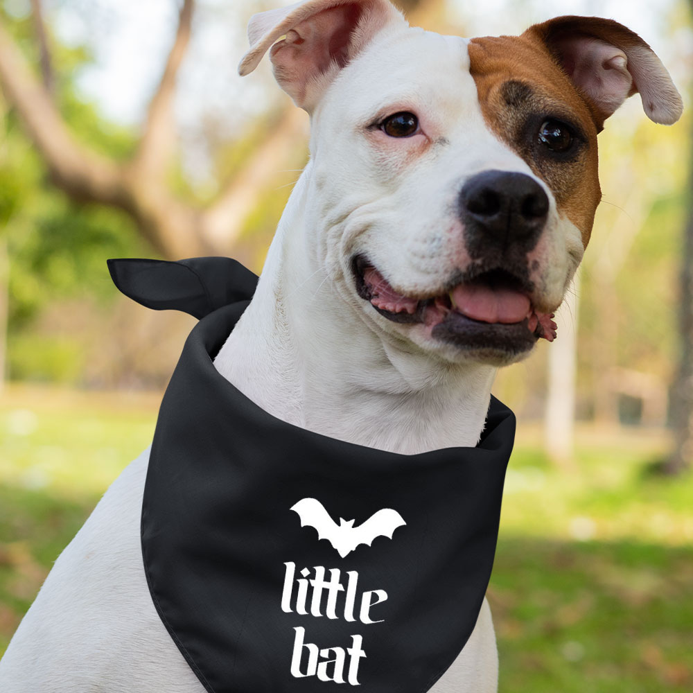 Halloween Bat Family Matching Shirt 
