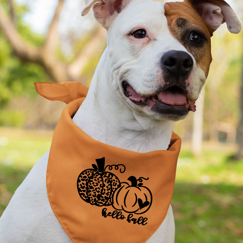 Hello Fall Matching Family Tees