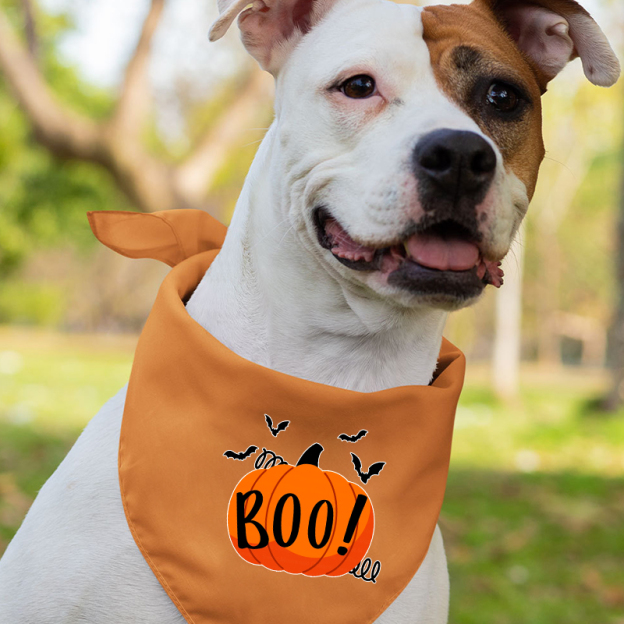 Boo Pumpkin Halloween Matching Shirts