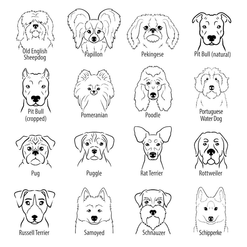 Personalized Baby Embroidery Rompers Sets (Pets)