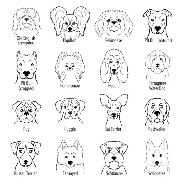 Personalized Baby Embroidery Rompers Sets (Pets)