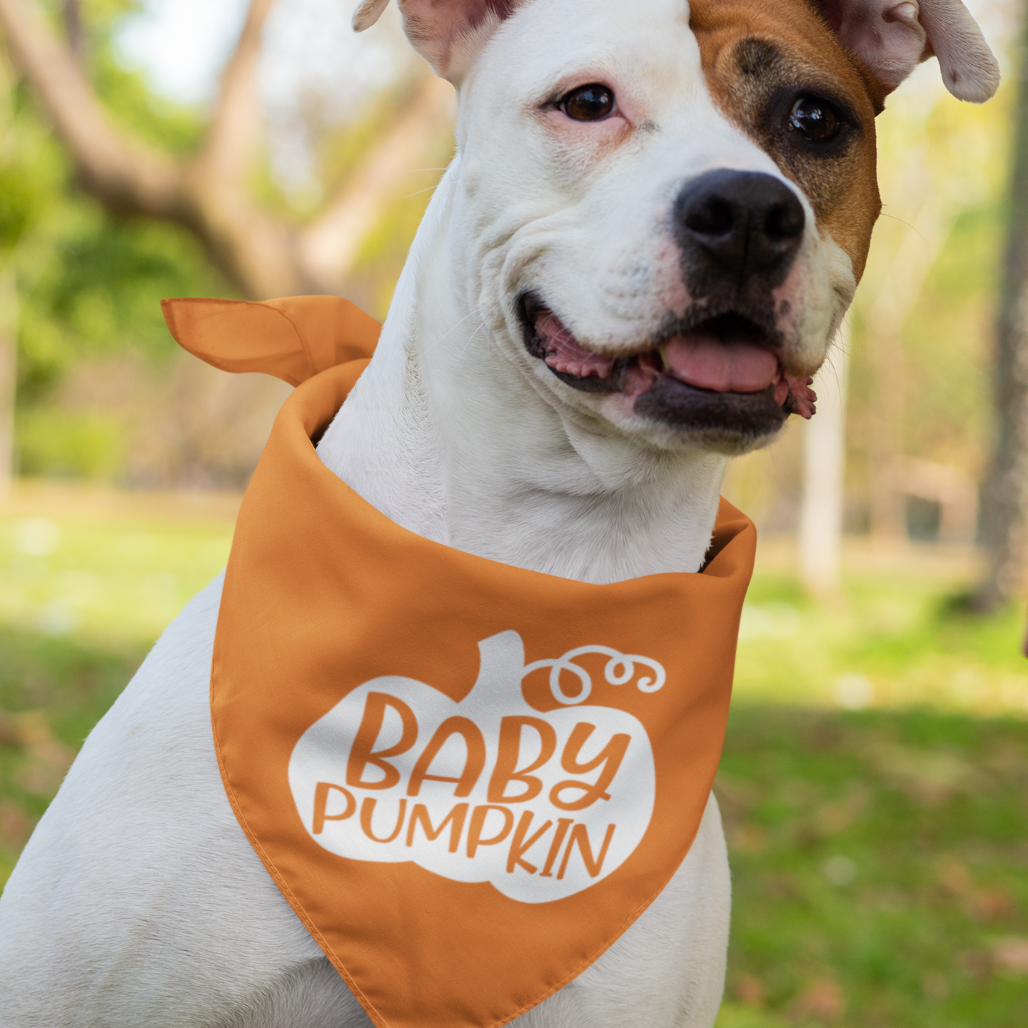 Fall Mommy And Me Matching Family Shirt 