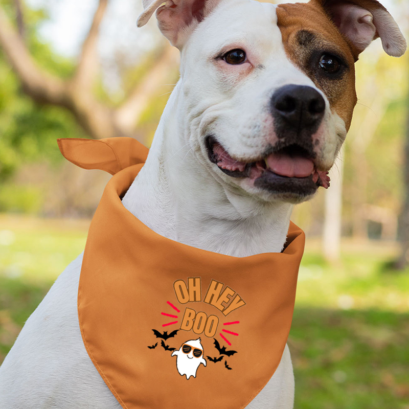 Oh Hey Boo Halloween Shirt For Family
