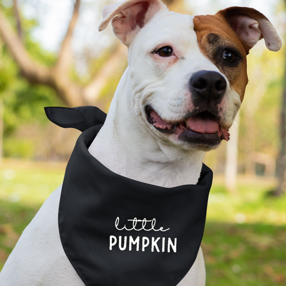 Halloween Family Party Pumpkin Shirts