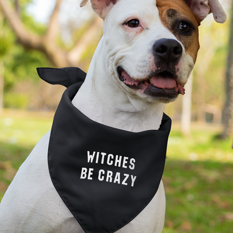 Witches Be Crazy Halloween Family Shirts