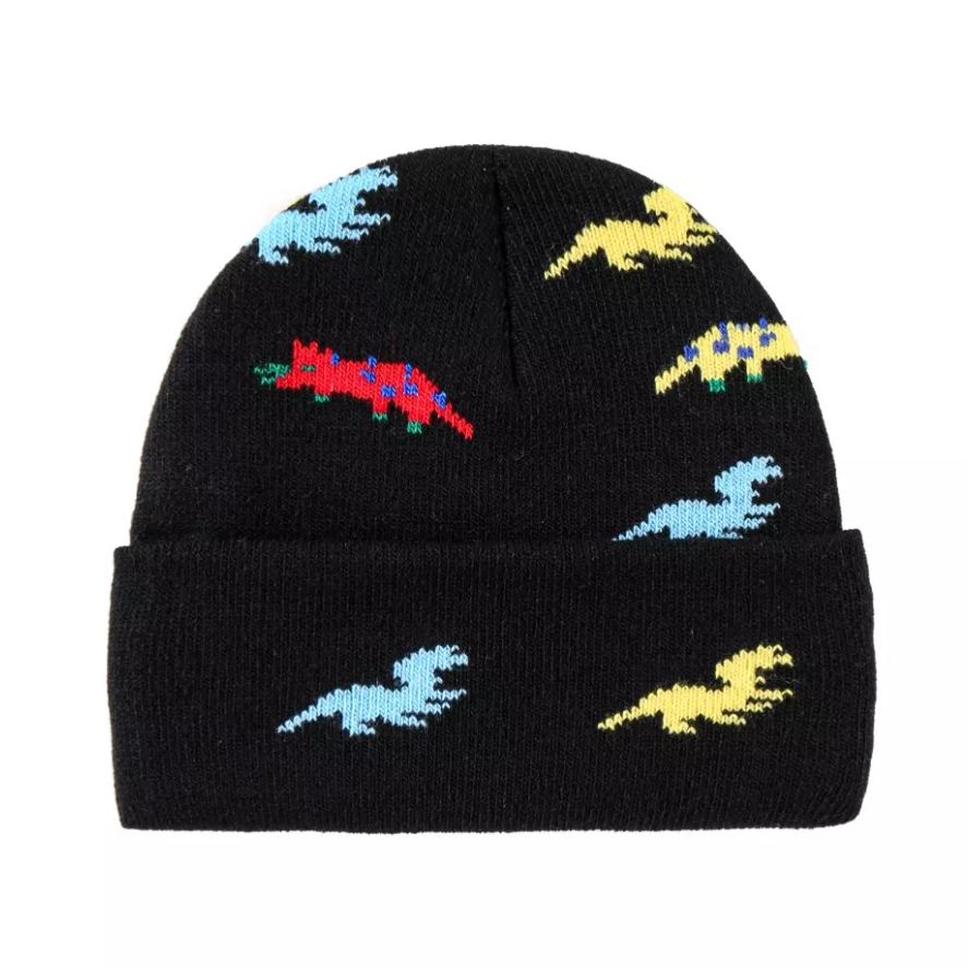 Dinosaur Embroidered Children's Knitted Hat