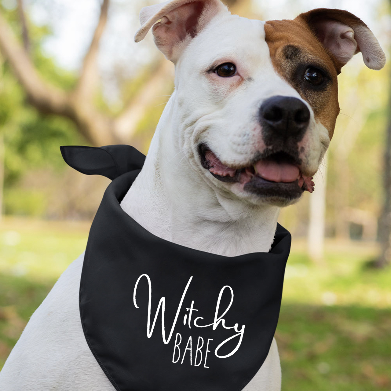 Personalized Witch Shirts For Halloween