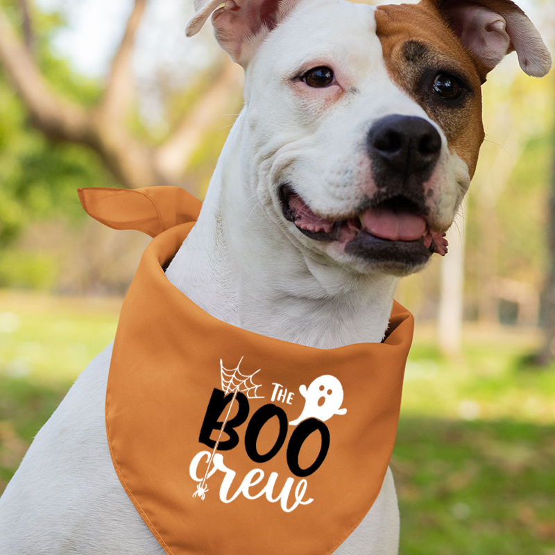 [Copy]Happy Halloween Heart Doodles Shirt For Family