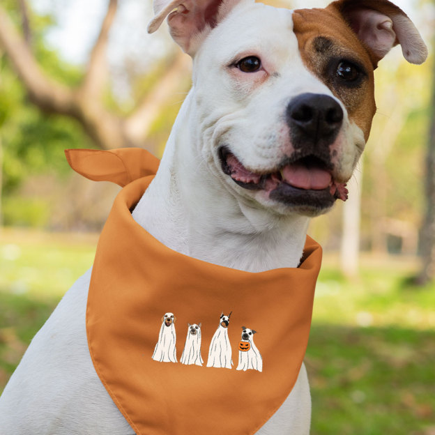 Halloween Ghost Dog Shirt