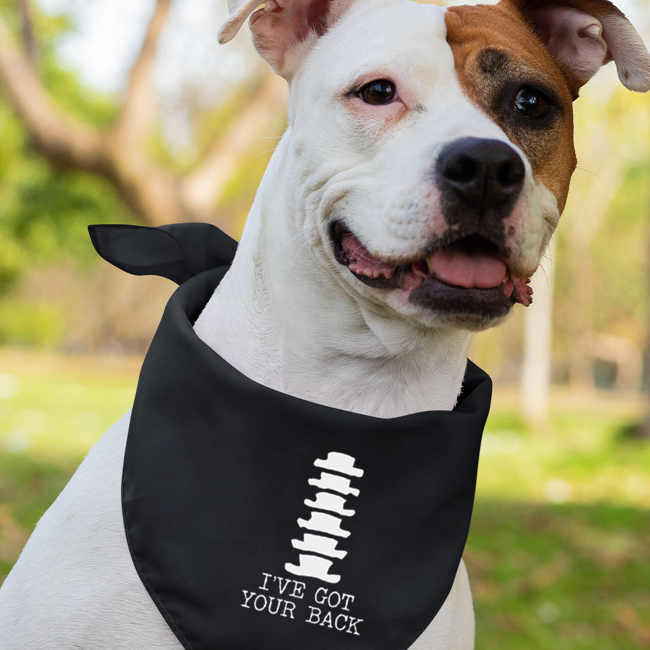 Skeleton Puns Funny Family Matching Halloween Party Tees