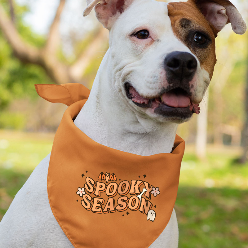 Halloween Spooky Season Matching Family Shirts
