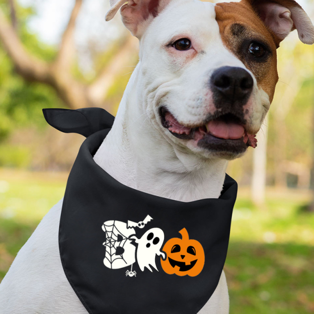 Halloween Boo Ghost Pumpkin Family Matching Shirts