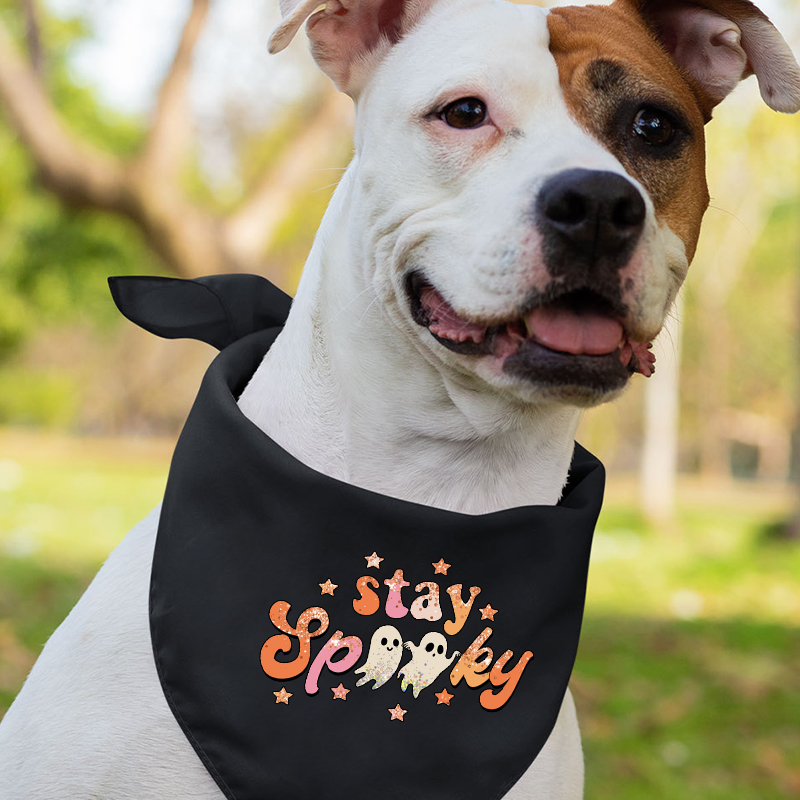 Stay Spooky Cool Halloween Family Matching Shirts