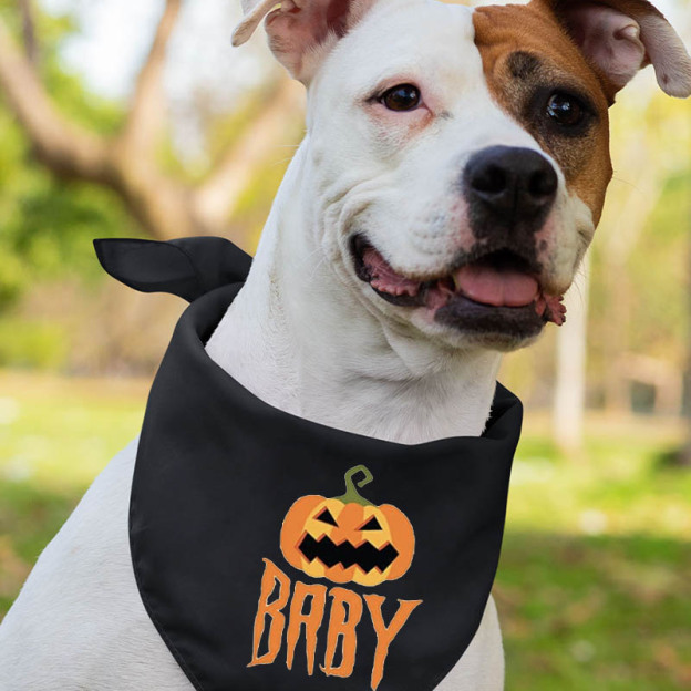 Halloween Family Bandage Pumpkin Matching Shirts