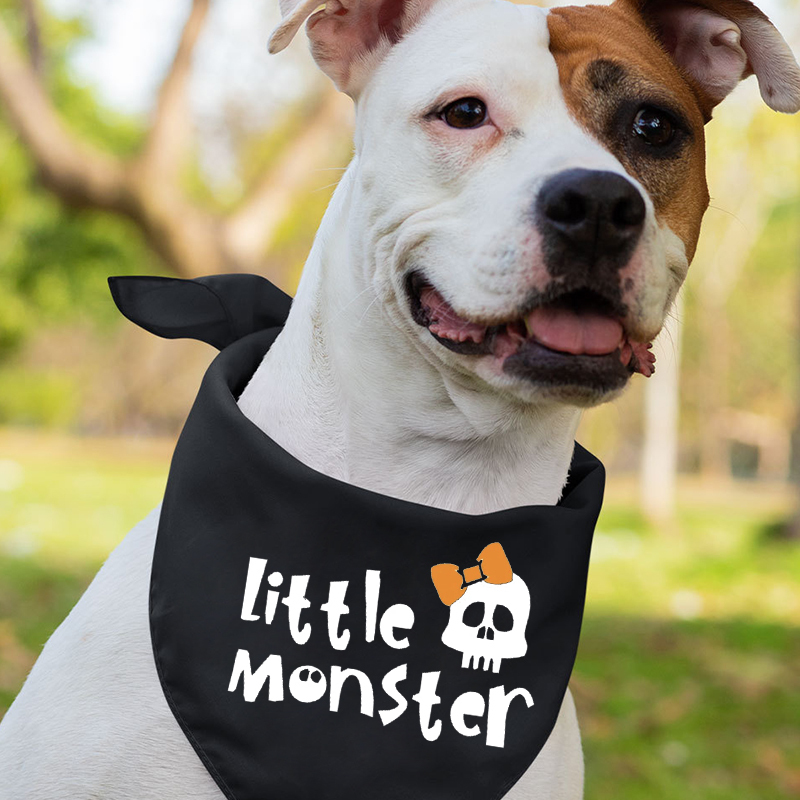 Halloween Skeleton Cat Family Matching Shirts