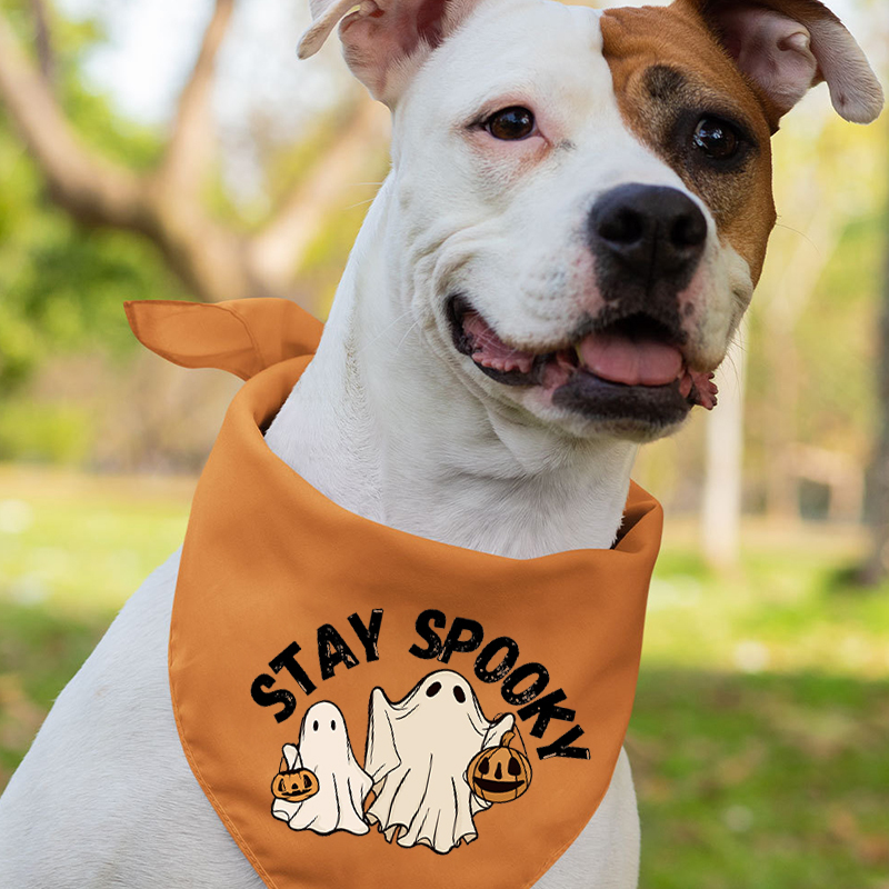 Stay Spooky Two Pumpkin Ghosts Halloween Family Matching Shirts