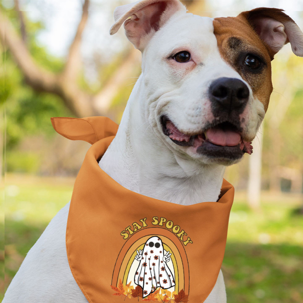 Maple Leaf Spooky Season Halloween Family Matching Shirts
