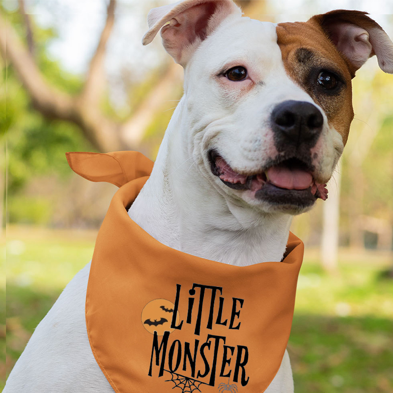 Spider And Bat Momster Dadcula Halloween Family Matching Shirts