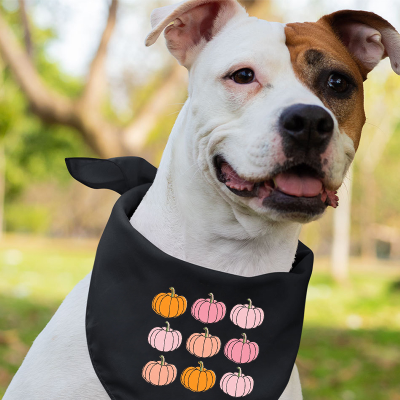 Pink Pumpkin Patch Halloween Family Matching Shirts