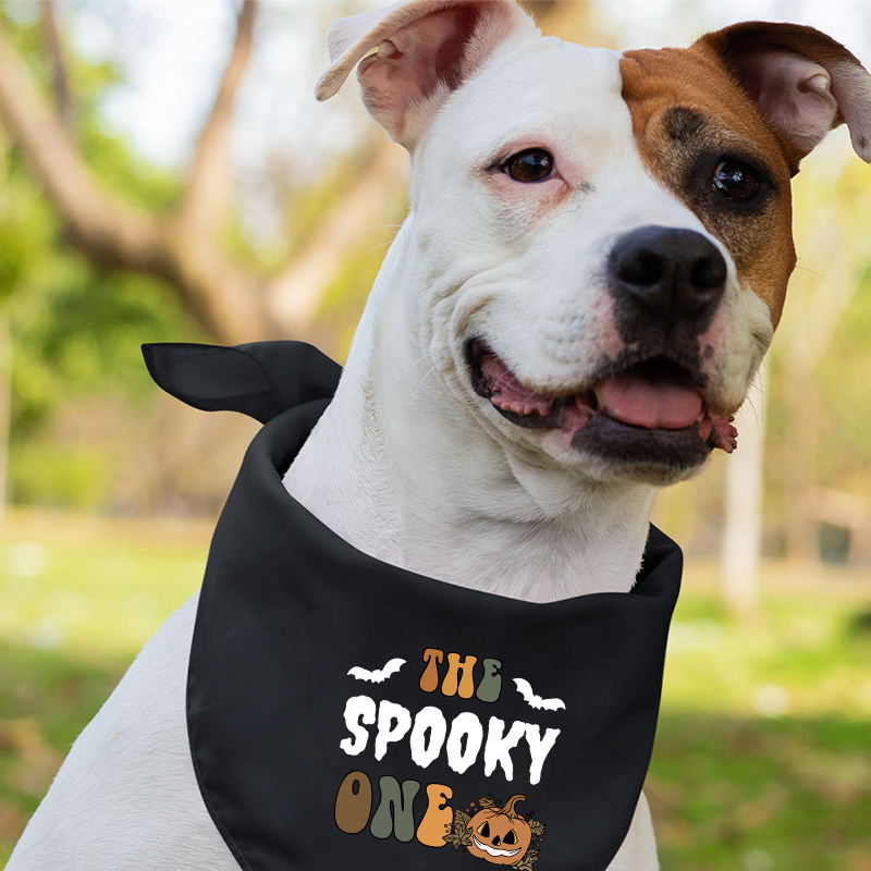 Funny Group Spooky Season Matching Shirts For Family