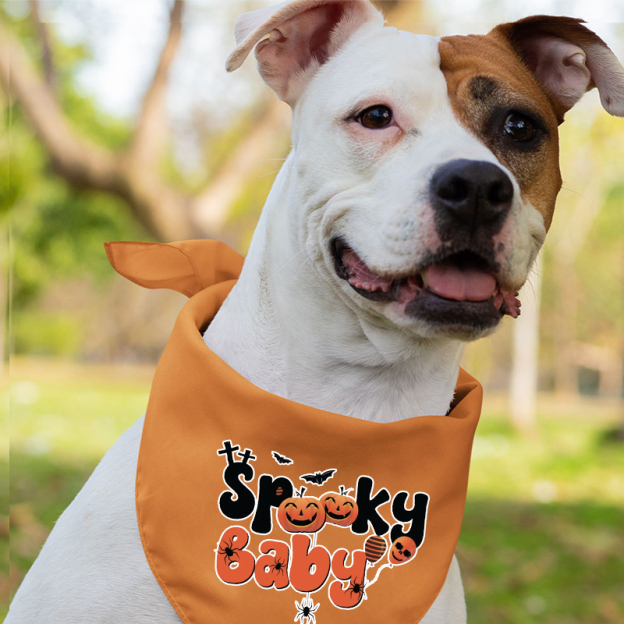 Spooky Family Happy Halloween Party T-Shirts