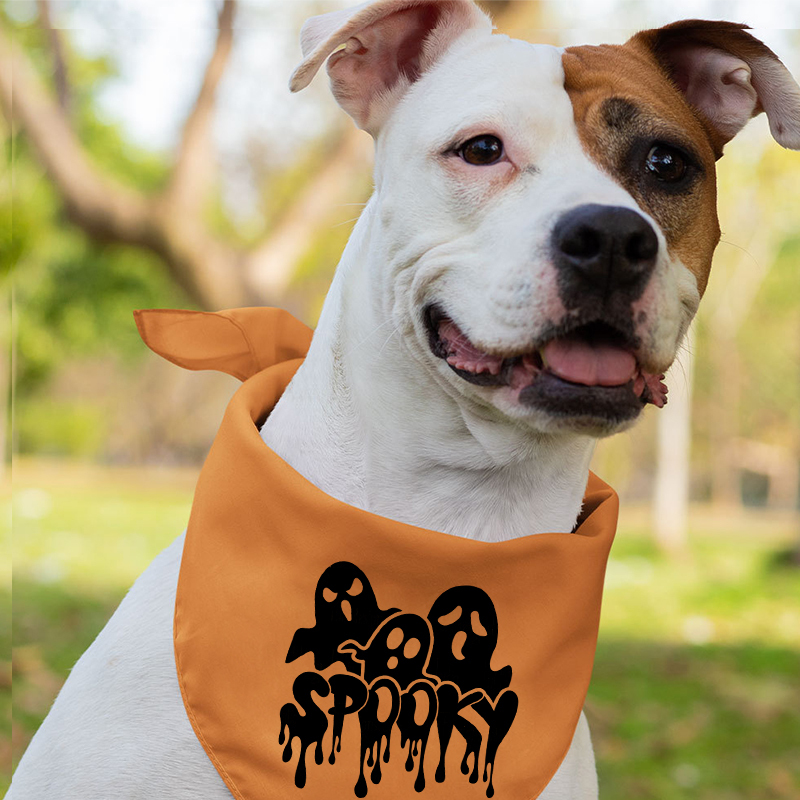 Scary Spooky Tees For Halloween
