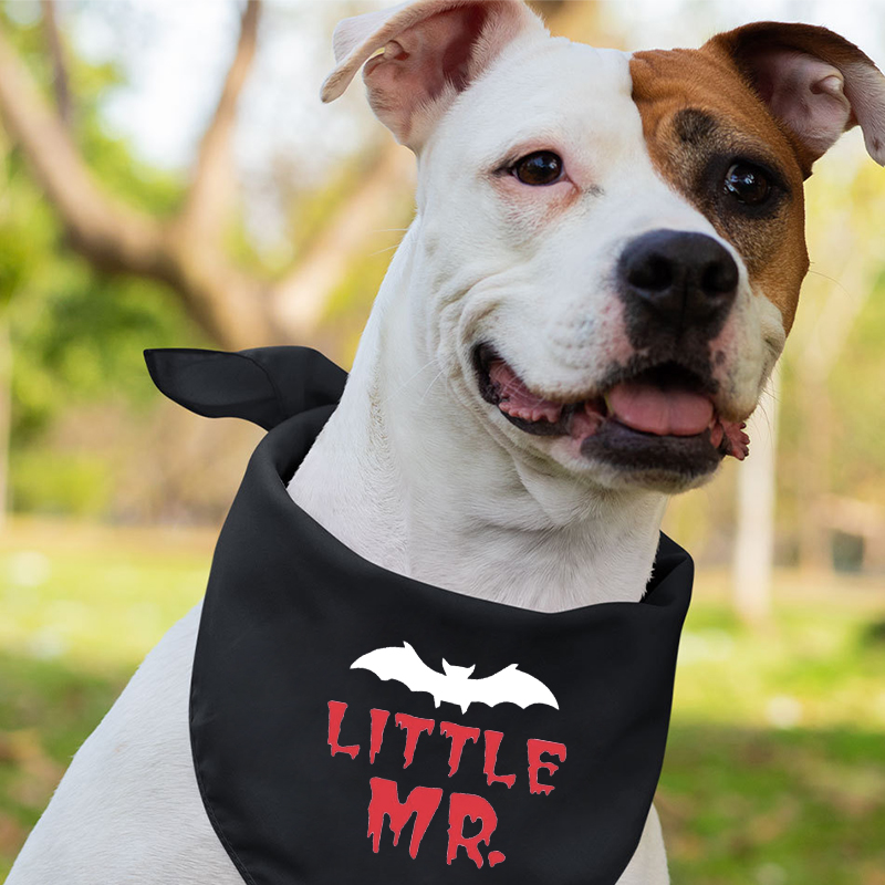 Mr And Mrs Halloween Bat Tees For Family