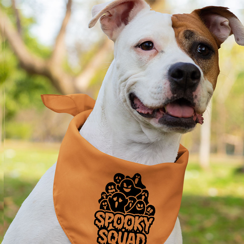 Matching Family Tees Spooky Squad