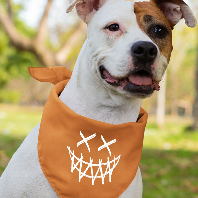 Halloween Friends Group Party Shirts