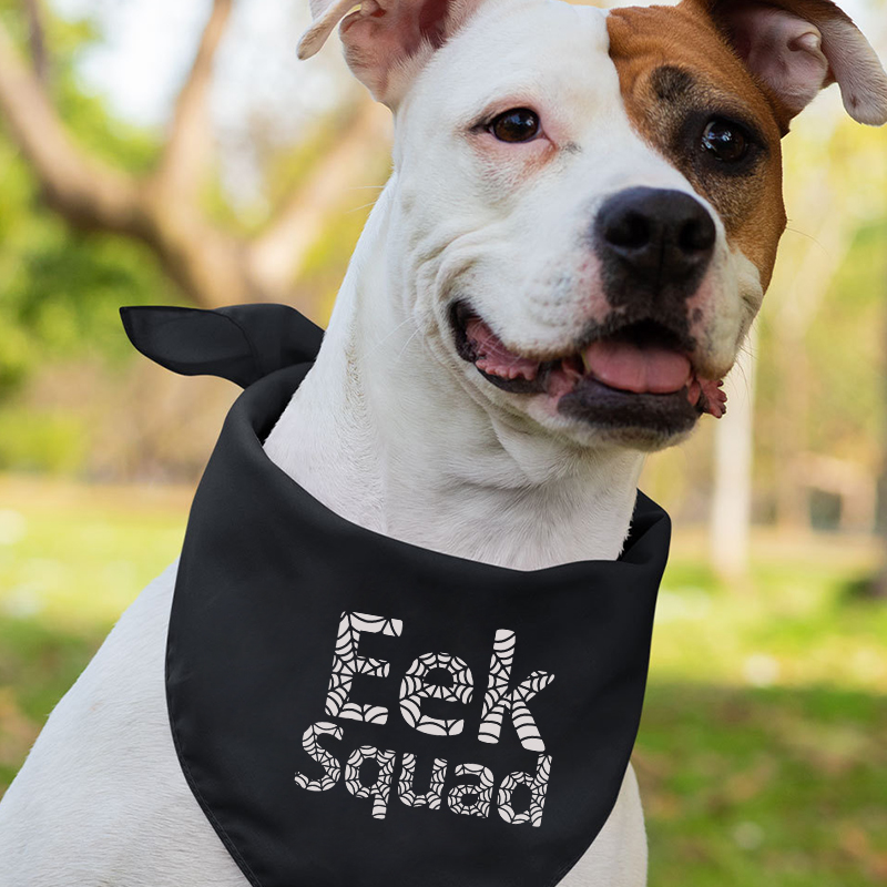 Eek Squad Family Shirts for Halloween