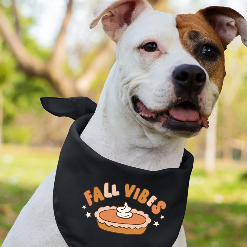 Fall Vibes Pumpkin Pie Matching Shirts