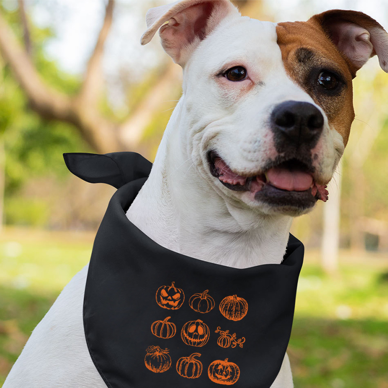 Spooky Season Hello Pumpkin Matching Shirts