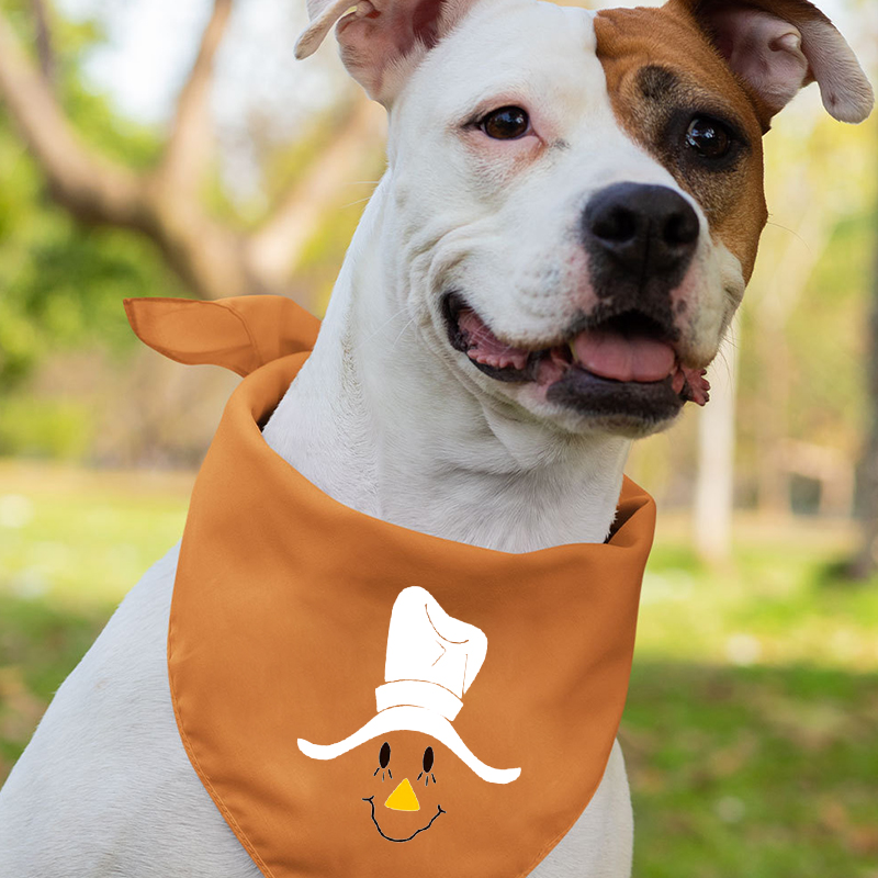 Personalized Scarecrow Faces Halloween Matching Shirts