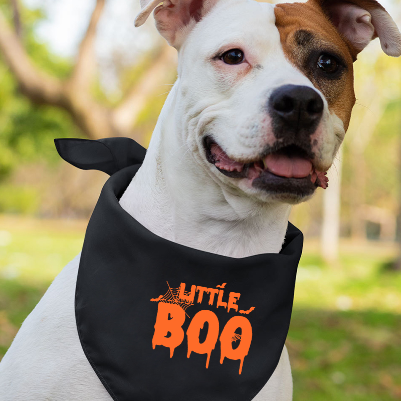 Simplicity Halloween Family Matching Shirts
