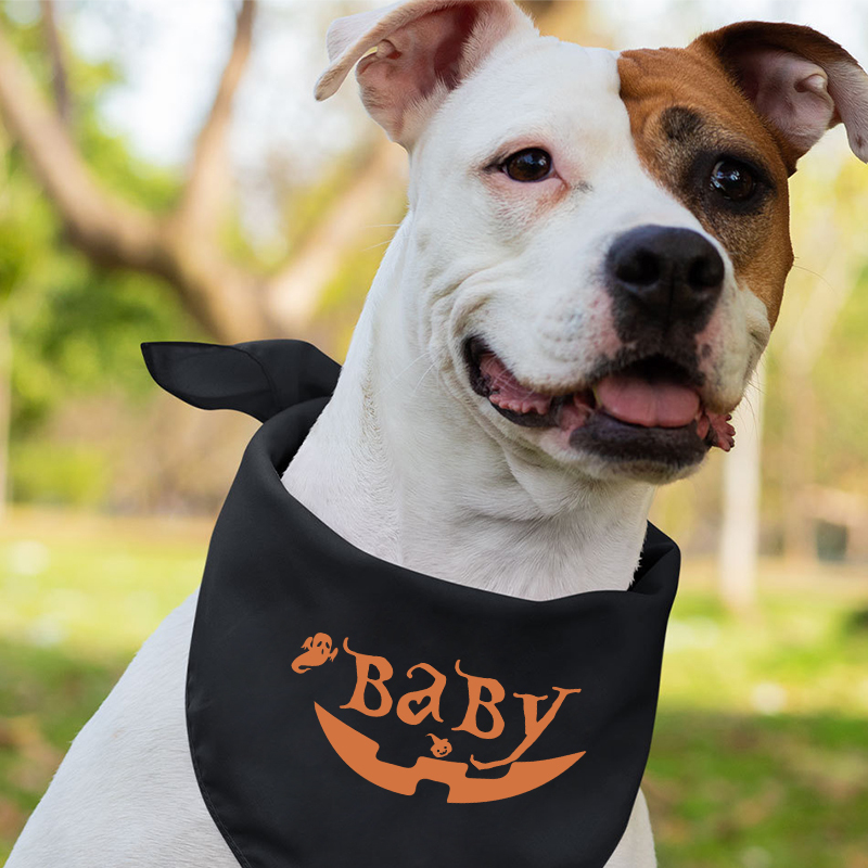 Ghost Pumpkin Halloween Personalized Family  Matching Shirts
