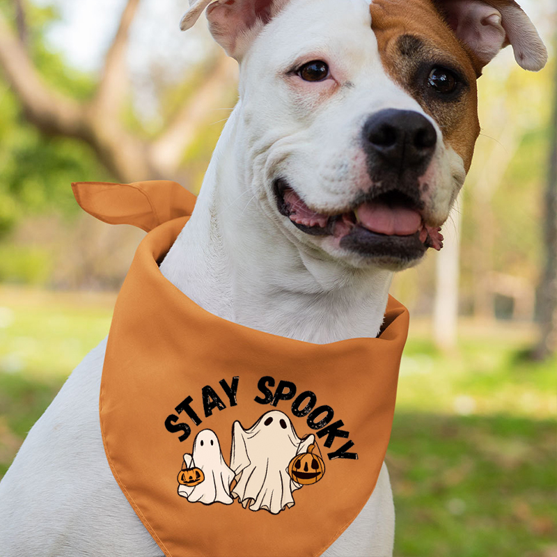 Stay Spooky Halloween Matching Shirts