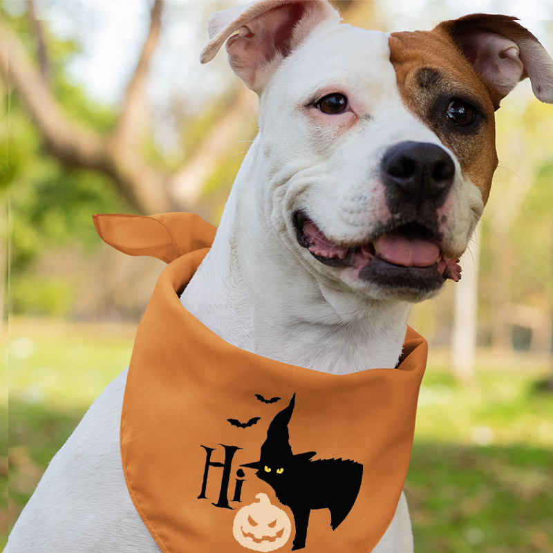 Hocus Pocus Halloween Matching Shirts