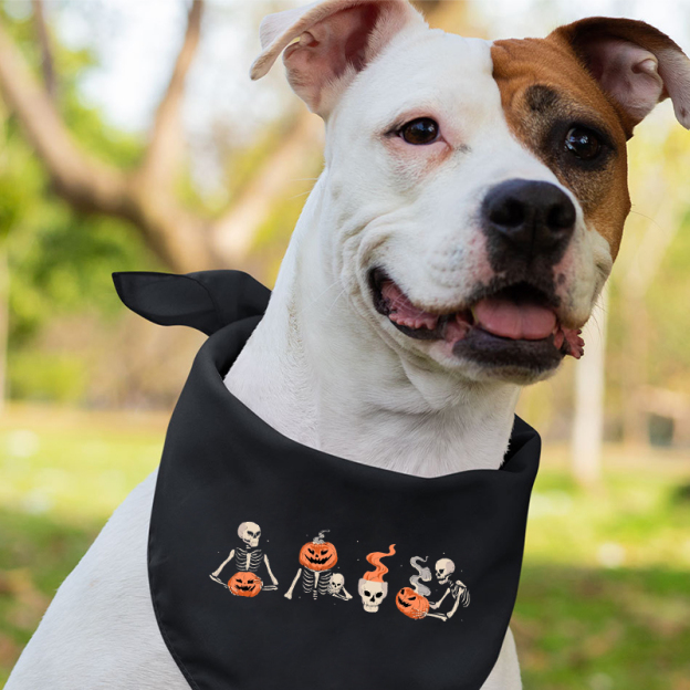 Skeleton graphic Halloween Matching Shirts