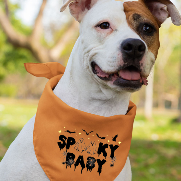 One Spooky Halloween Matching Shirts