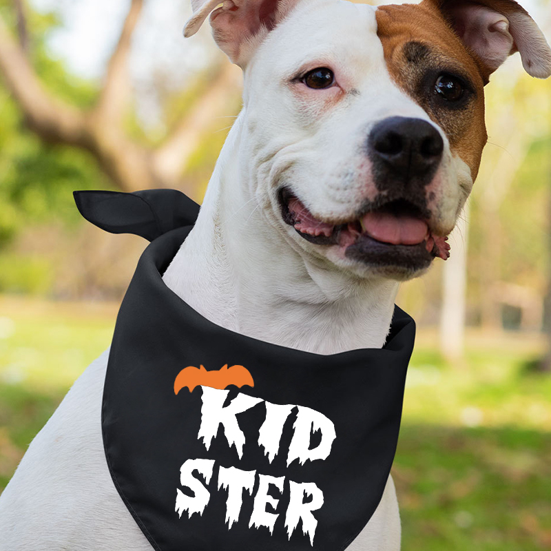 Family Ghost Halloween Matching Shirts