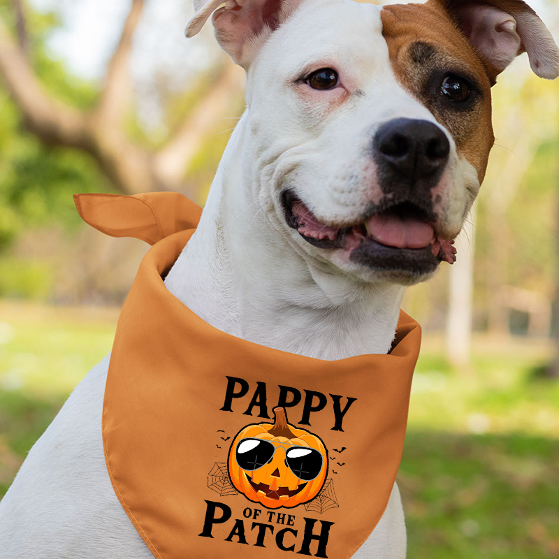 Pappy Of The Patch Halloween Matching Shirts