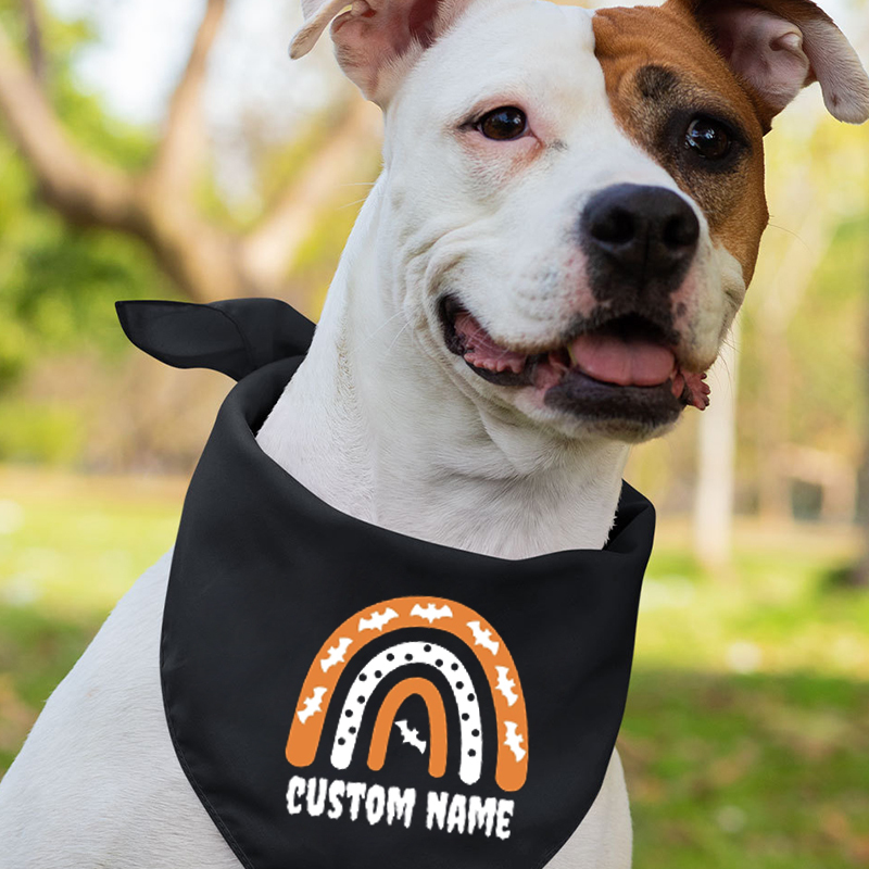 Rainbow Halloween Matching Shirts